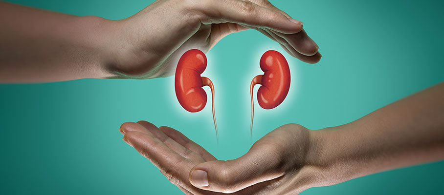 HOW TO KEEP YOUR KIDNEY HEALTHY IN NIGERIA